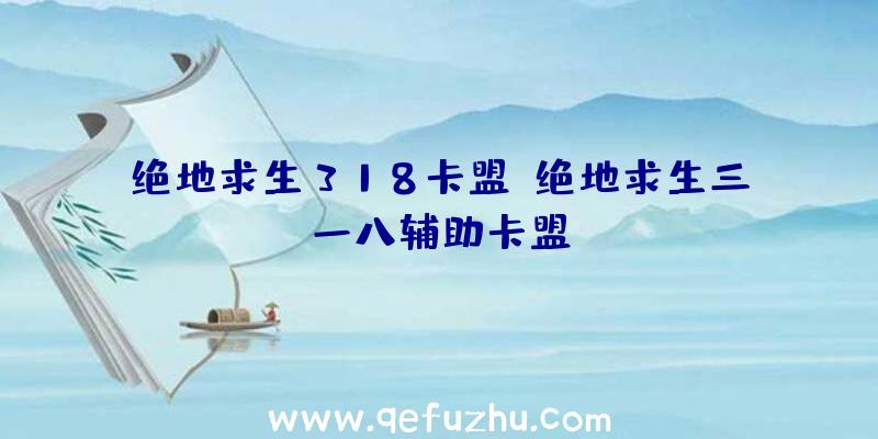 绝地求生318卡盟、绝地求生三一八辅助卡盟