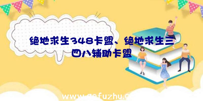 绝地求生348卡盟、绝地求生三四八辅助卡盟