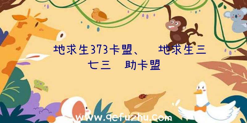 绝地求生373卡盟、绝地求生三七三辅助卡盟