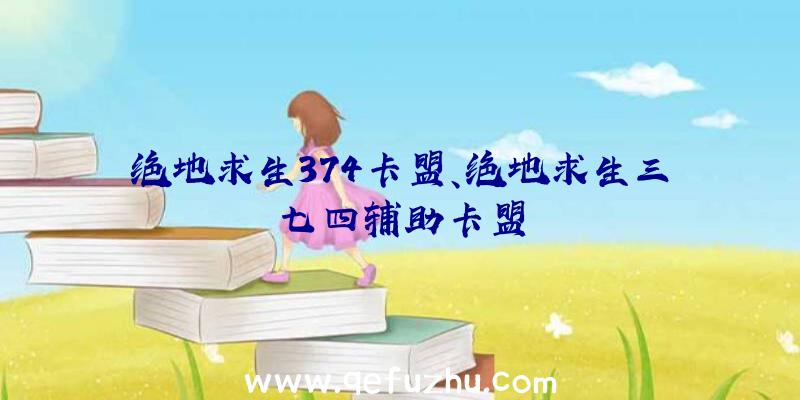 绝地求生374卡盟、绝地求生三七四辅助卡盟