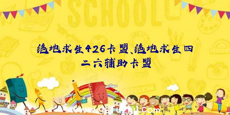 绝地求生426卡盟、绝地求生四二六辅助卡盟