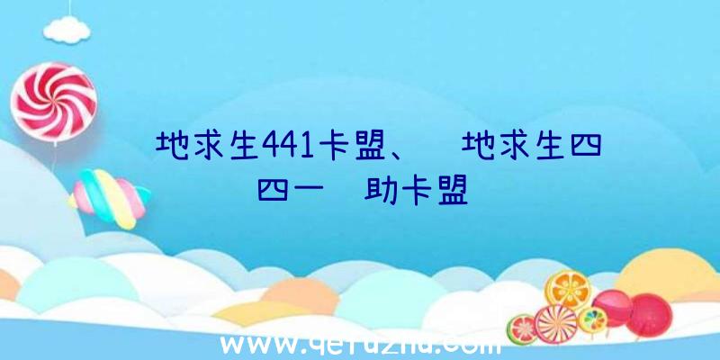 绝地求生441卡盟、绝地求生四四一辅助卡盟