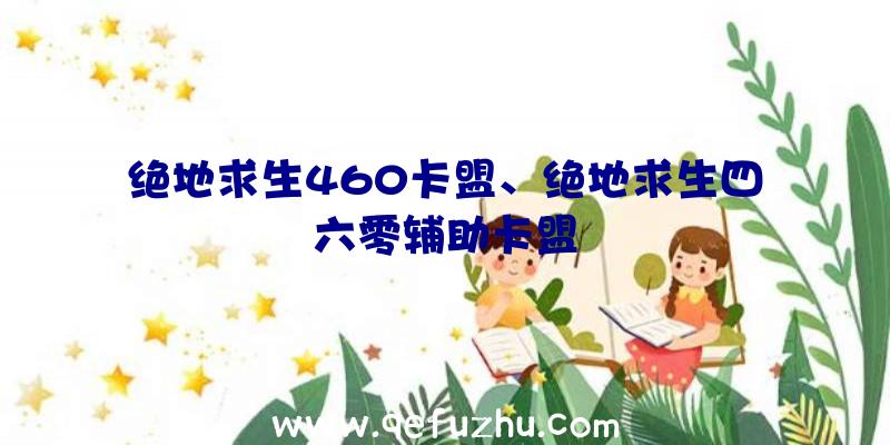 绝地求生460卡盟、绝地求生四六零辅助卡盟