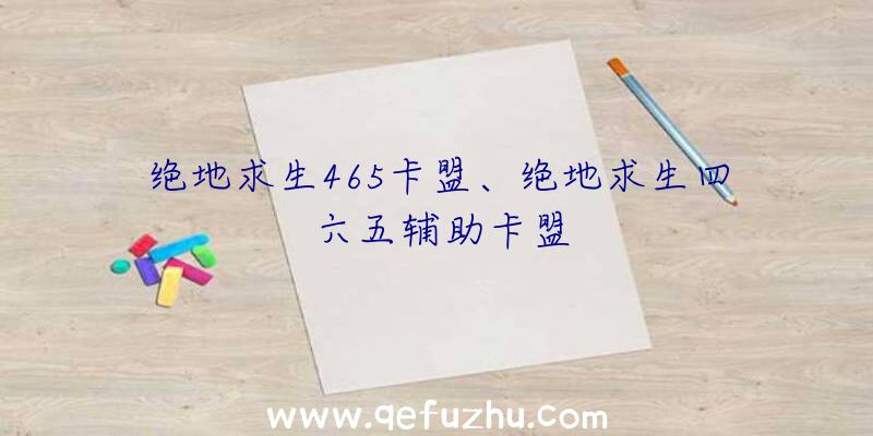 绝地求生465卡盟、绝地求生四六五辅助卡盟