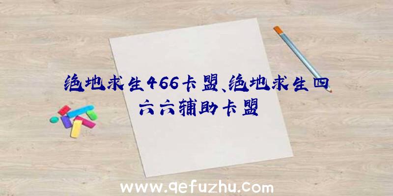 绝地求生466卡盟、绝地求生四六六辅助卡盟