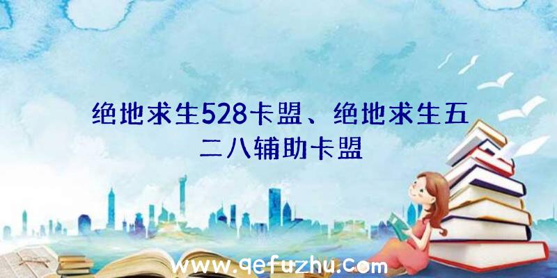 绝地求生528卡盟、绝地求生五二八辅助卡盟