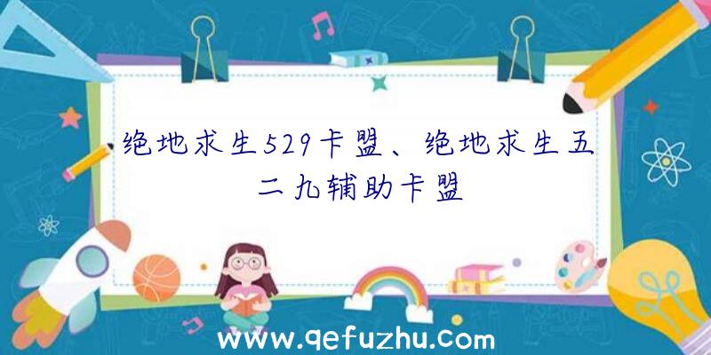 绝地求生529卡盟、绝地求生五二九辅助卡盟