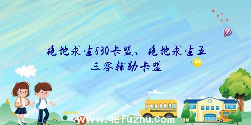 绝地求生530卡盟、绝地求生五三零辅助卡盟