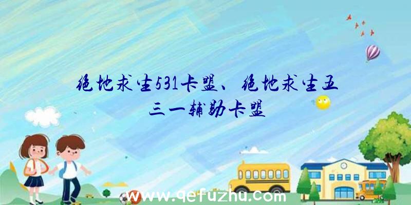 绝地求生531卡盟、绝地求生五三一辅助卡盟