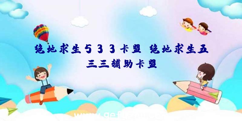 绝地求生533卡盟、绝地求生五三三辅助卡盟