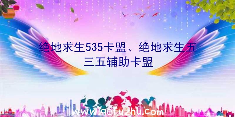 绝地求生535卡盟、绝地求生五三五辅助卡盟