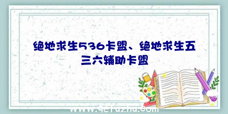 绝地求生536卡盟、绝地求生五三六辅助卡盟