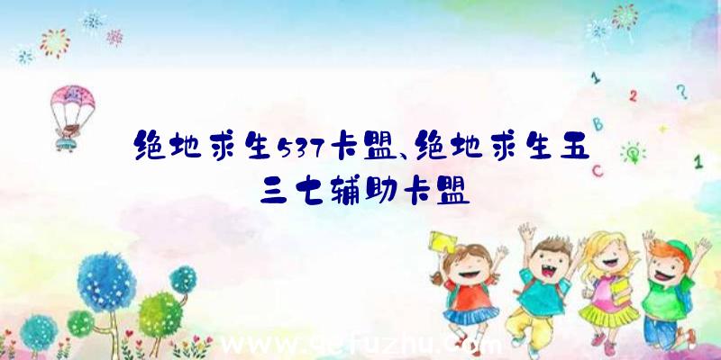 绝地求生537卡盟、绝地求生五三七辅助卡盟