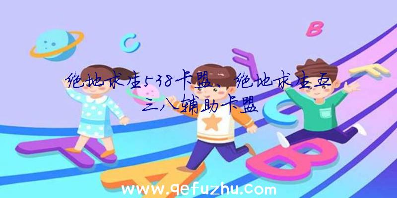 绝地求生538卡盟、绝地求生五三八辅助卡盟