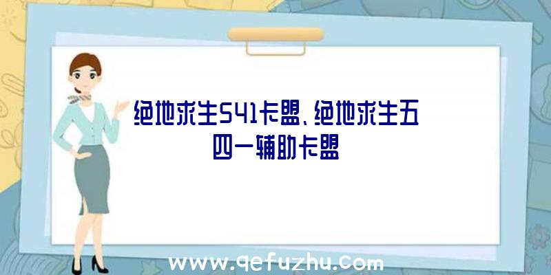 绝地求生541卡盟、绝地求生五四一辅助卡盟