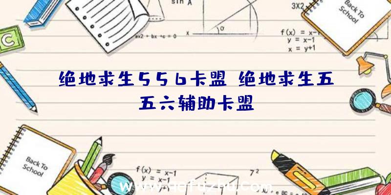 绝地求生556卡盟、绝地求生五五六辅助卡盟