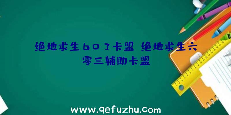 绝地求生603卡盟、绝地求生六零三辅助卡盟