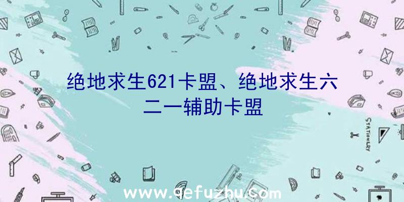 绝地求生621卡盟、绝地求生六二一辅助卡盟