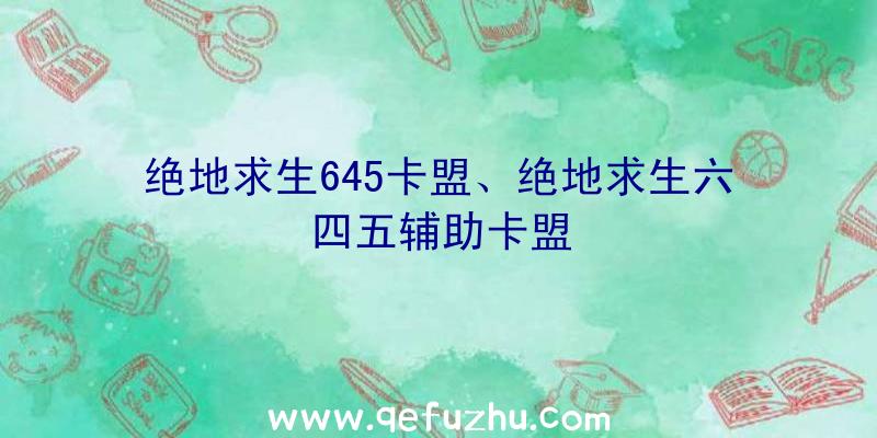 绝地求生645卡盟、绝地求生六四五辅助卡盟