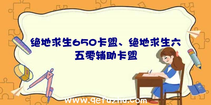 绝地求生650卡盟、绝地求生六五零辅助卡盟