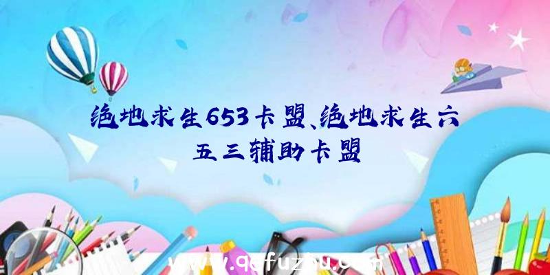 绝地求生653卡盟、绝地求生六五三辅助卡盟