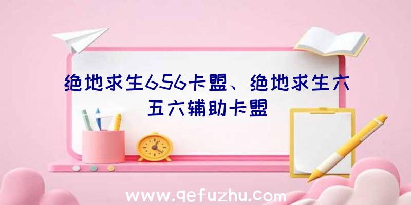 绝地求生656卡盟、绝地求生六五六辅助卡盟