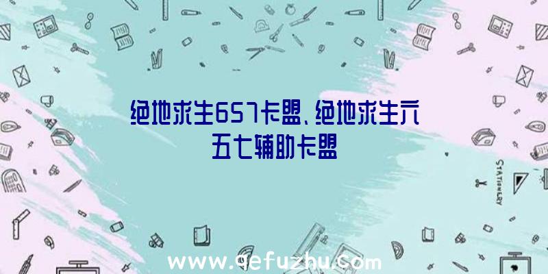 绝地求生657卡盟、绝地求生六五七辅助卡盟