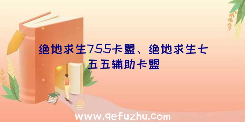 绝地求生755卡盟、绝地求生七五五辅助卡盟