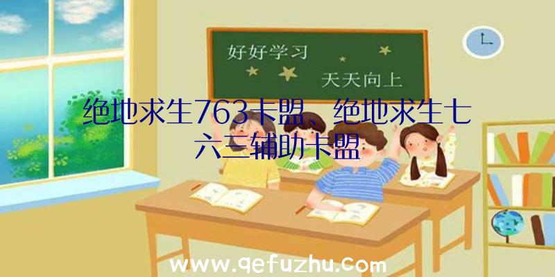 绝地求生763卡盟、绝地求生七六三辅助卡盟