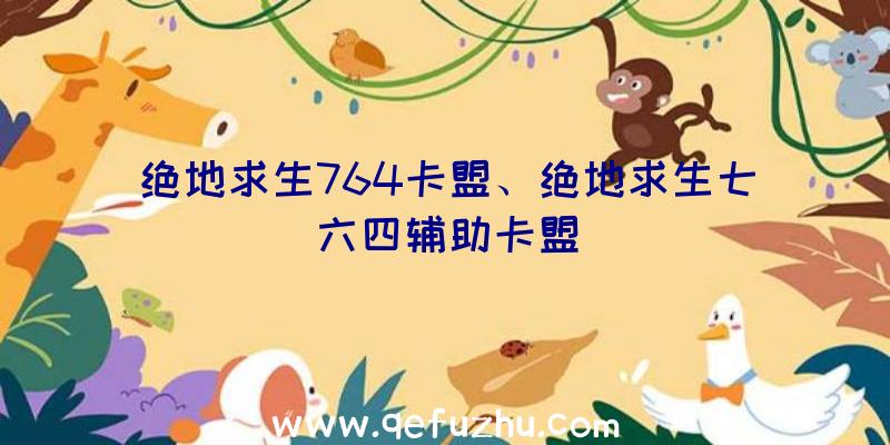 绝地求生764卡盟、绝地求生七六四辅助卡盟