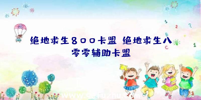 绝地求生800卡盟、绝地求生八零零辅助卡盟