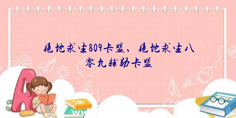 绝地求生809卡盟、绝地求生八零九辅助卡盟