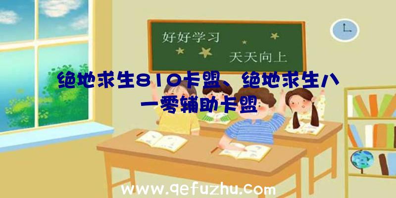 绝地求生810卡盟、绝地求生八一零辅助卡盟