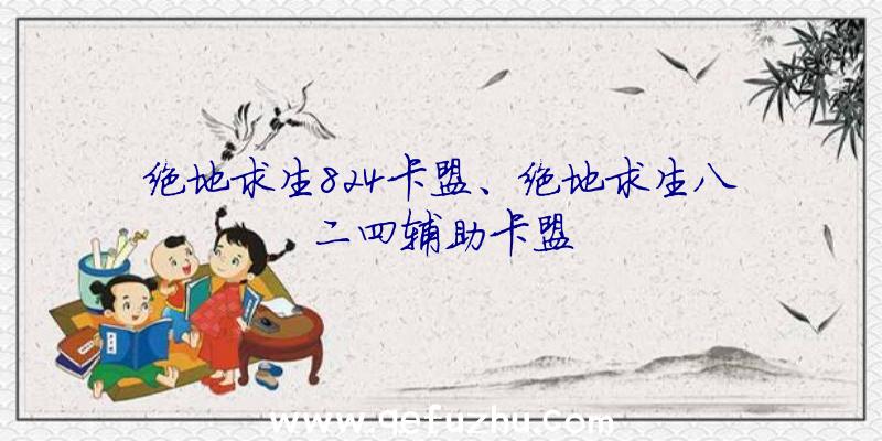 绝地求生824卡盟、绝地求生八二四辅助卡盟