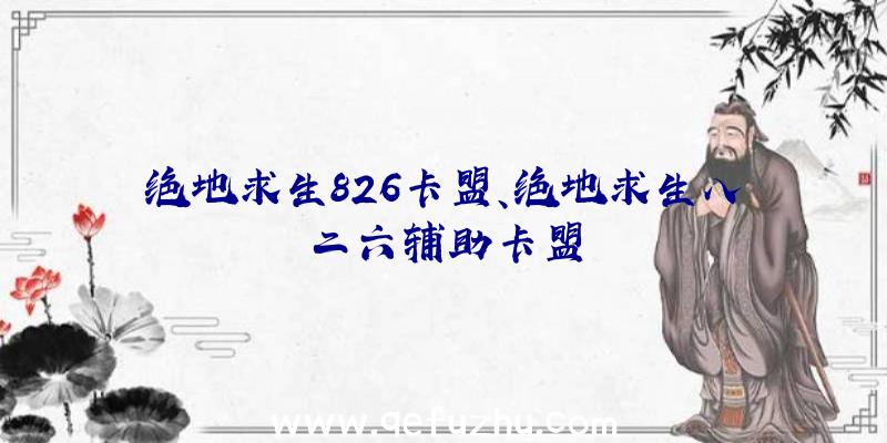 绝地求生826卡盟、绝地求生八二六辅助卡盟