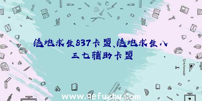 绝地求生837卡盟、绝地求生八三七辅助卡盟