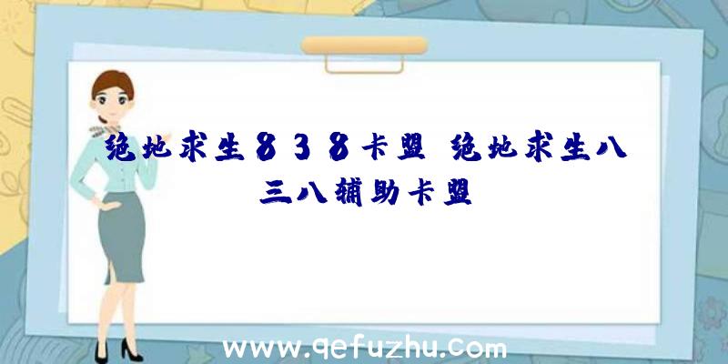 绝地求生838卡盟、绝地求生八三八辅助卡盟