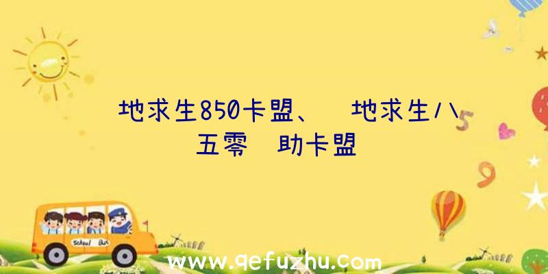 绝地求生850卡盟、绝地求生八五零辅助卡盟