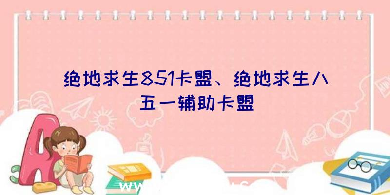 绝地求生851卡盟、绝地求生八五一辅助卡盟