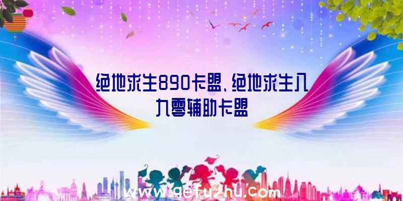 绝地求生890卡盟、绝地求生八九零辅助卡盟