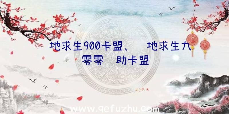 绝地求生900卡盟、绝地求生九零零辅助卡盟