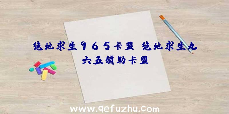 绝地求生965卡盟、绝地求生九六五辅助卡盟