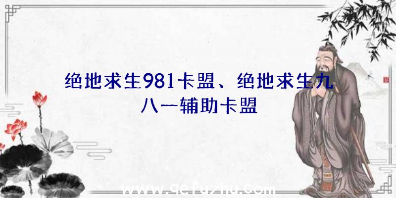 绝地求生981卡盟、绝地求生九八一辅助卡盟