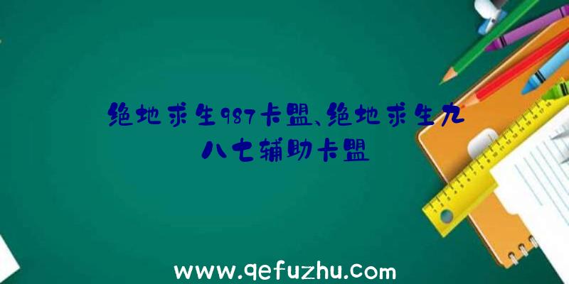 绝地求生987卡盟、绝地求生九八七辅助卡盟