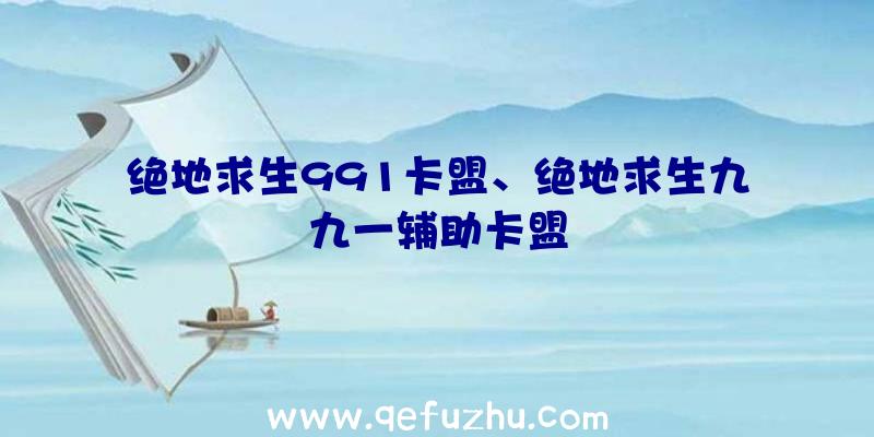 绝地求生991卡盟、绝地求生九九一辅助卡盟