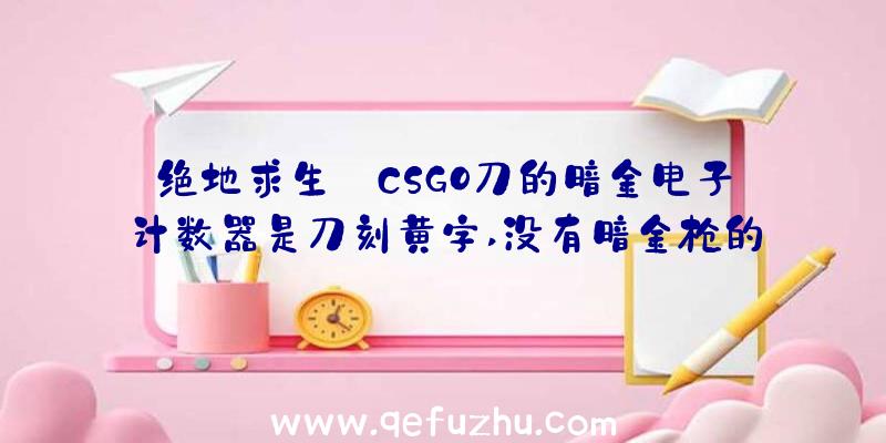 绝地求生:CSGO刀的暗金电子计数器是刀刻黄字,没有暗金枪的