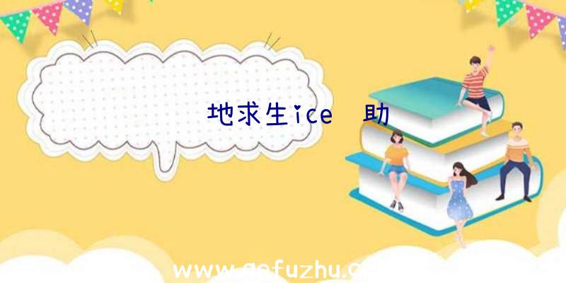 绝地求生ice辅助