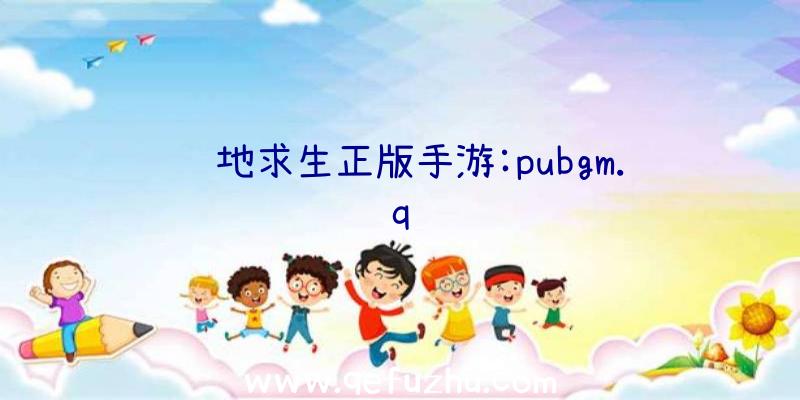 绝地求生正版手游:pubgm.q