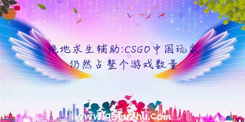 绝地求生辅助:CSGO中国玩家仍然占整个游戏数量