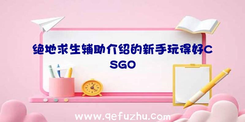 绝地求生辅助介绍的新手玩得好CSGO